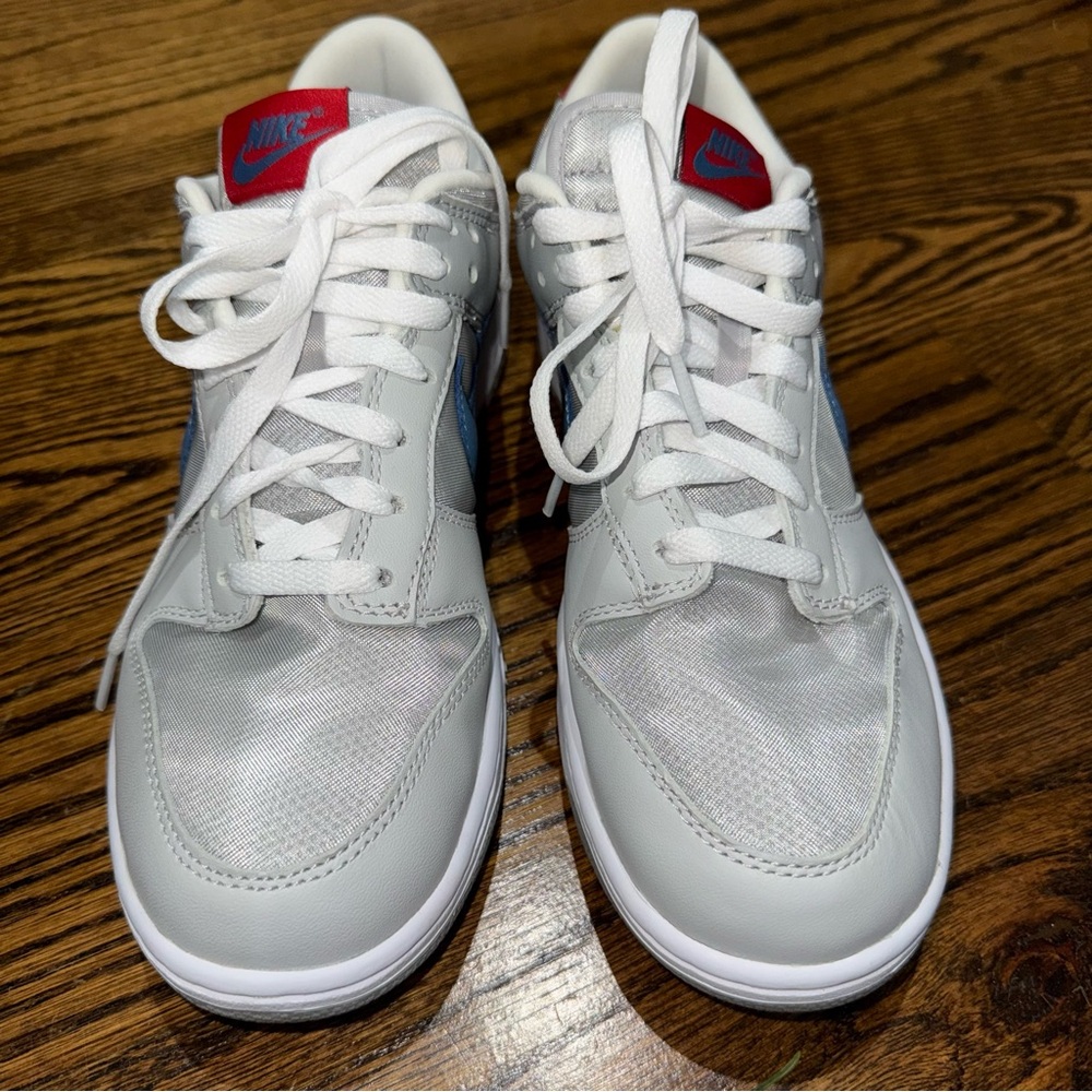 Nike Dunk Low QS "Silver Surfer" sneaker